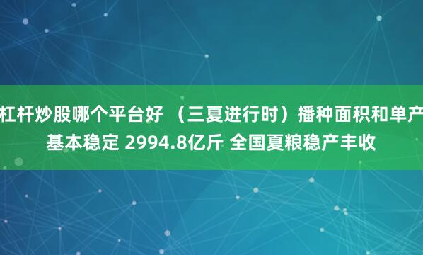 杠杆炒股哪个平台好 （三夏进行时）播种面积和单产基本稳定 2994.8亿斤 全国夏粮稳产丰收