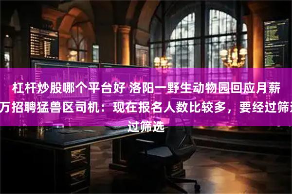 杠杆炒股哪个平台好 洛阳一野生动物园回应月薪5万招聘猛兽区司机：现在报名人数比较多，要经过筛选