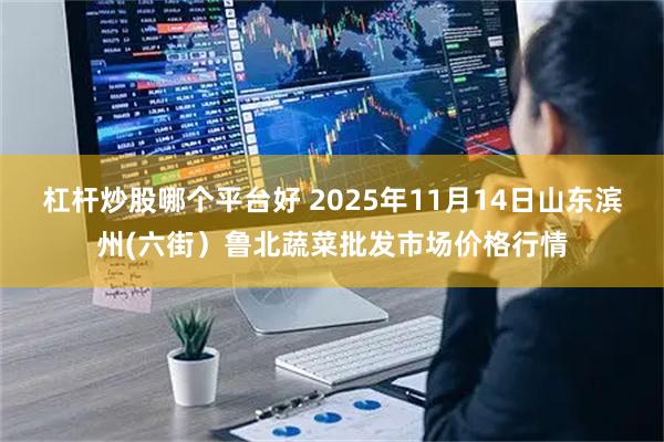 杠杆炒股哪个平台好 2025年11月14日山东滨州(六街）鲁北蔬菜批发市场价格行情