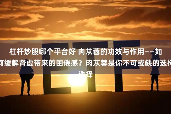 杠杆炒股哪个平台好 肉苁蓉的功效与作用——如何缓解肾虚带来的困倦感？肉苁蓉是你不可或缺的选择